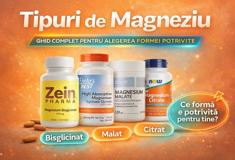 Tipuri de magneziu: bisglicinat Zein Pharma, bisglicinat Doctor’s Best, malat OstroVit și citrat – ghid complet pentru alegerea formei potrivite