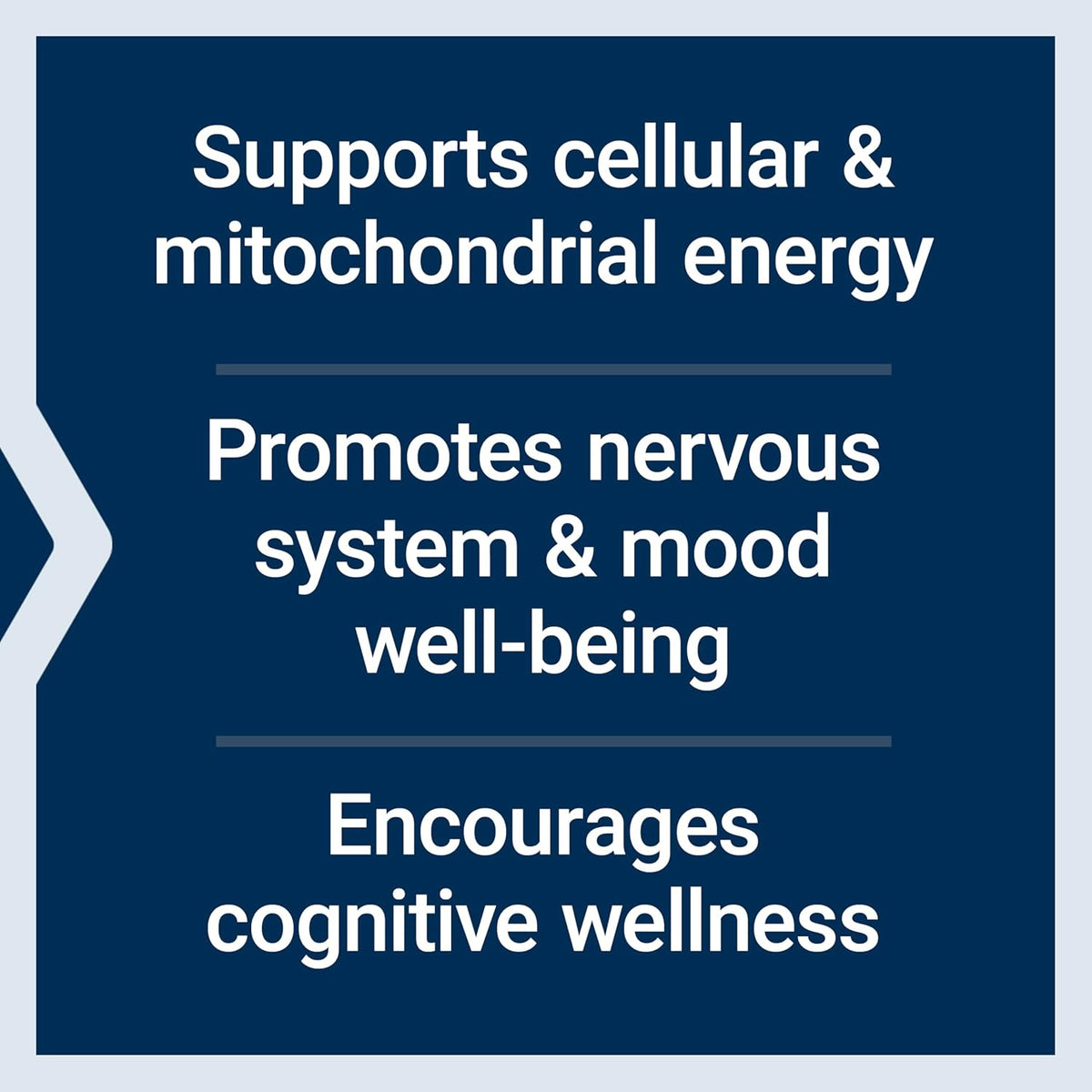 Acetyl L - Carnitine Arginate pentru Energie Mitocondriala, Creier si Sistem Nervos - Life Extension - 90 Capsule Vegetale - Protein4Life