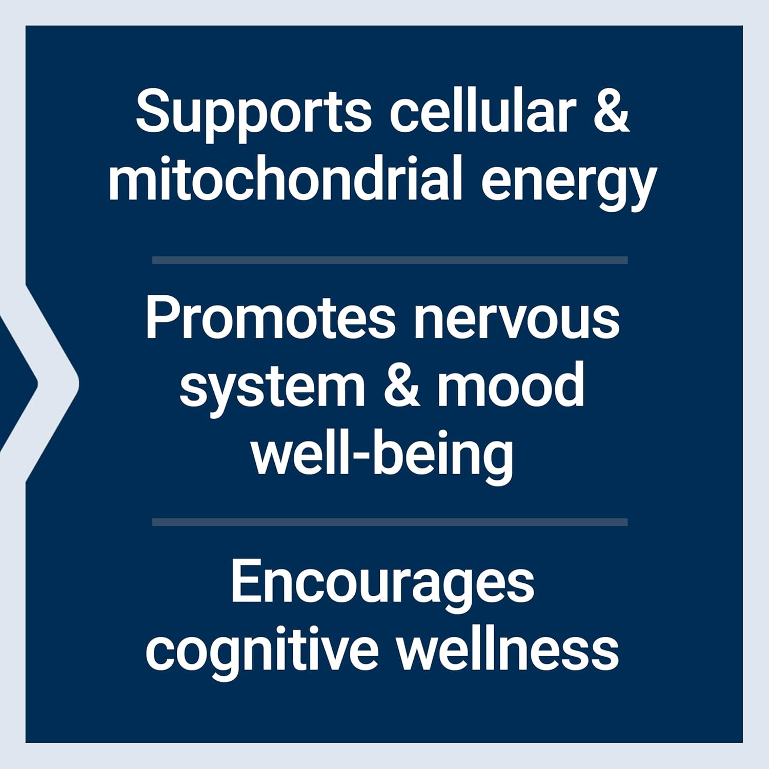 Acetyl L - Carnitine Arginate pentru Energie Mitocondriala, Creier si Sistem Nervos - Life Extension - 90 Capsule Vegetale - Protein4Life