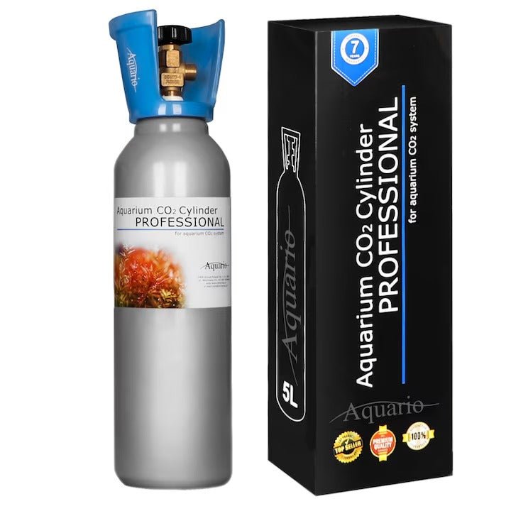 Butelie CO2 aluminiu argintiu Aquario 5L cu supapă alamă și mâner albastru, etichetă albă Aquarium CO2 Cylinder Professional cu imagine plante acvatice, cutie neagră cu text alb și logo Aquario, badge-uri calitate vizibile. Cilindru CO2 alimentar certificat PN EN 1089-3 pentru sisteme CO2 acvarii plantate, capacitate 5 litri, 3,75 kg CO2, garanție 7 ani, legalizare 10 ani. Asigură creștere viguroasă a plantelor acvatice, colorație vibrantă și prevenirea algelor.
