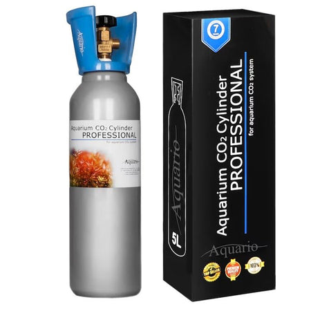 Butelie CO2 aluminiu argintiu Aquario 5L cu supapă alamă și mâner albastru, etichetă albă Aquarium CO2 Cylinder Professional cu imagine plante acvatice, cutie neagră cu text alb și logo Aquario, badge-uri calitate vizibile. Cilindru CO2 alimentar certificat PN EN 1089-3 pentru sisteme CO2 acvarii plantate, capacitate 5 litri, 3,75 kg CO2, garanție 7 ani, legalizare 10 ani. Asigură creștere viguroasă a plantelor acvatice, colorație vibrantă și prevenirea algelor.