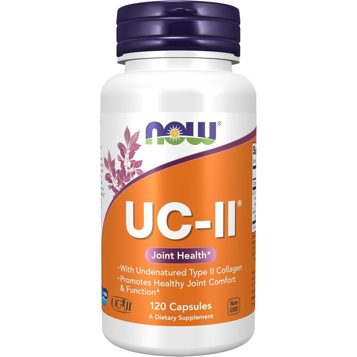 Colagen Tip II Nedenaturat UC - II pentru Flexibilitate, Mobilitate si Confort Articular - NOW Foods - Protein4Life