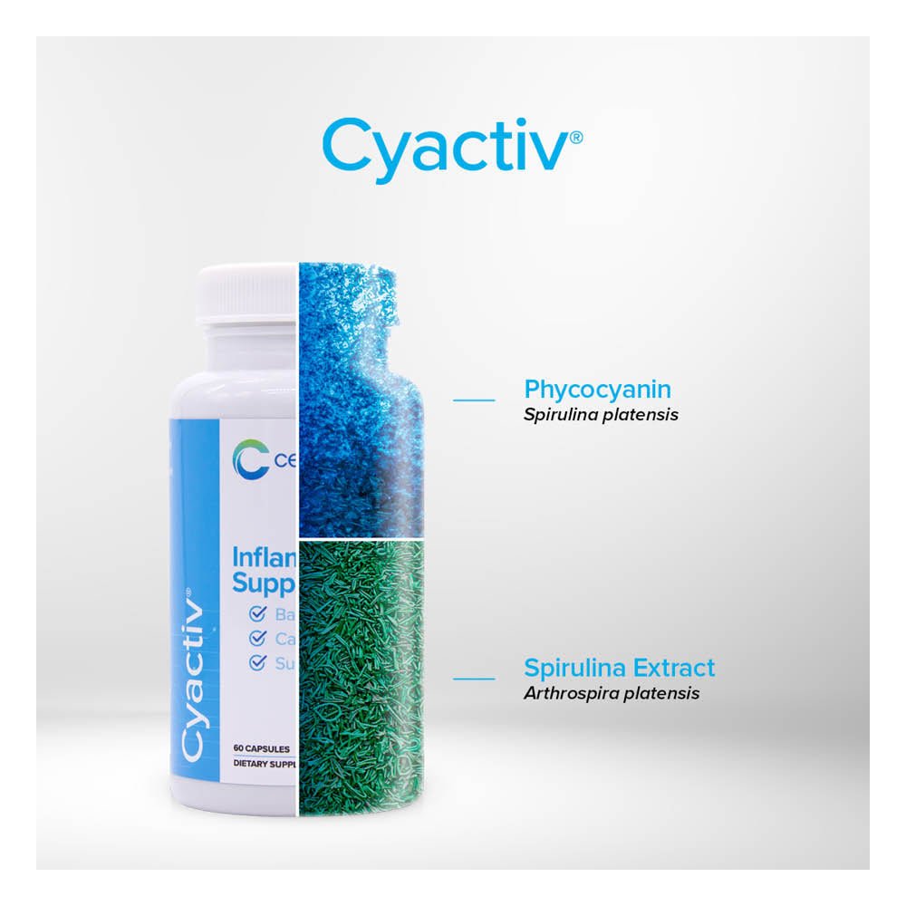 Cyactiv Inflammation Support pentru Suport Inflamator Sistemic - Cerule - 60 capsule - Protein4Life