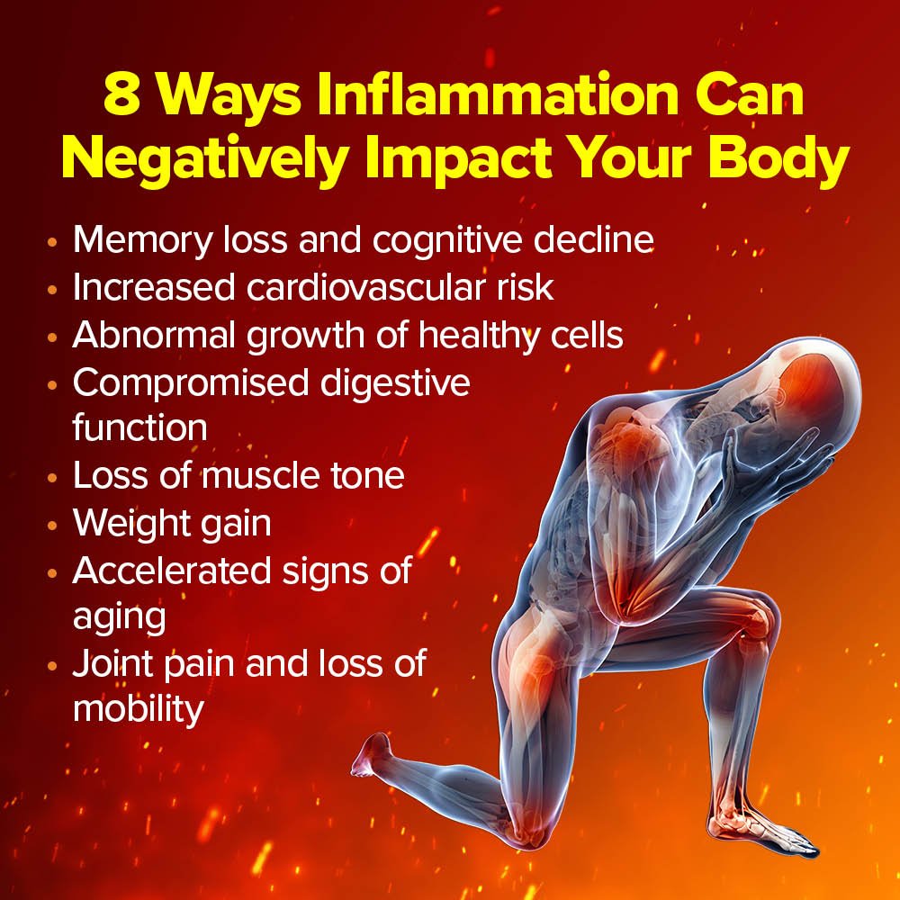 Cyactiv Inflammation Support pentru Suport Inflamator Sistemic - Cerule - 60 capsule - Protein4Life