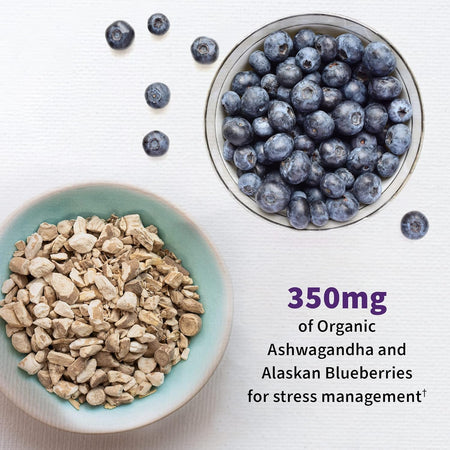 Dr. Formulated Probiotics Mood - Garden of Life - 60 capsule - Protein4Life