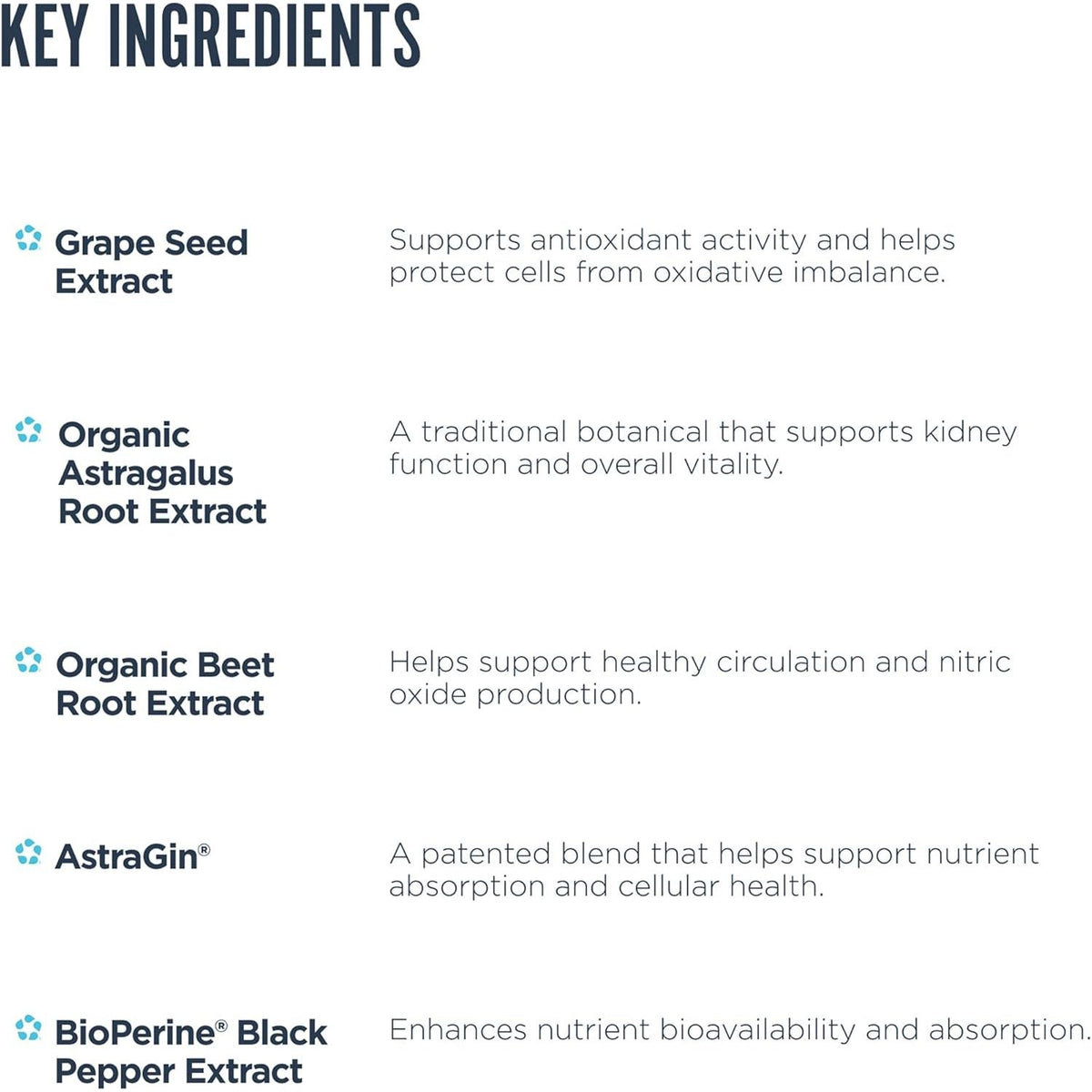 Kidney Support - Suport Renal - Revive - 135 capsule - Protein4Life