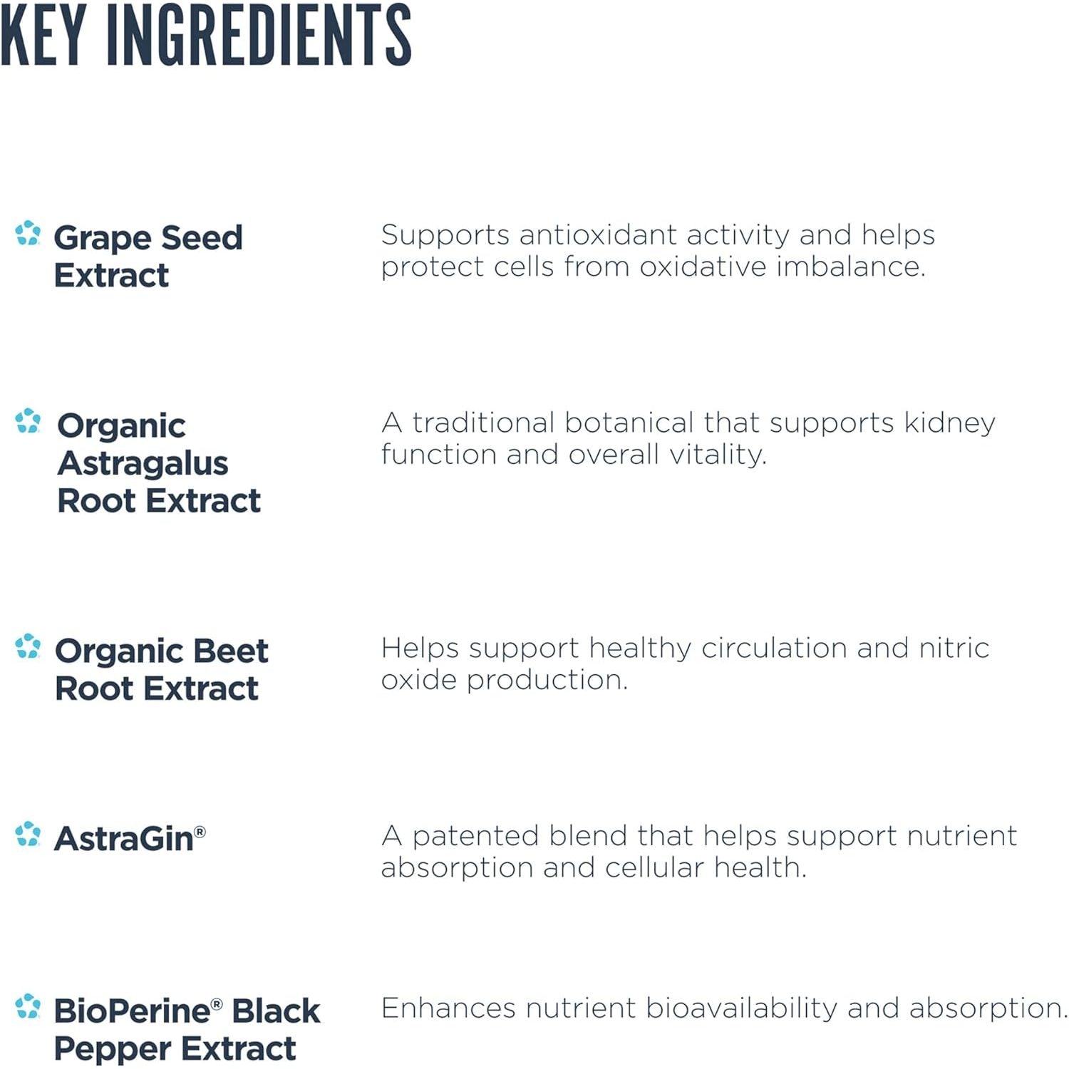 Kidney Support - Suport Renal - Revive - 135 capsule - Protein4Life