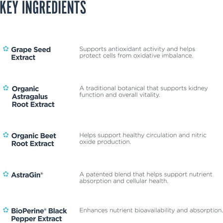 Kidney Support - Suport Renal - Revive - 135 capsule - Protein4Life