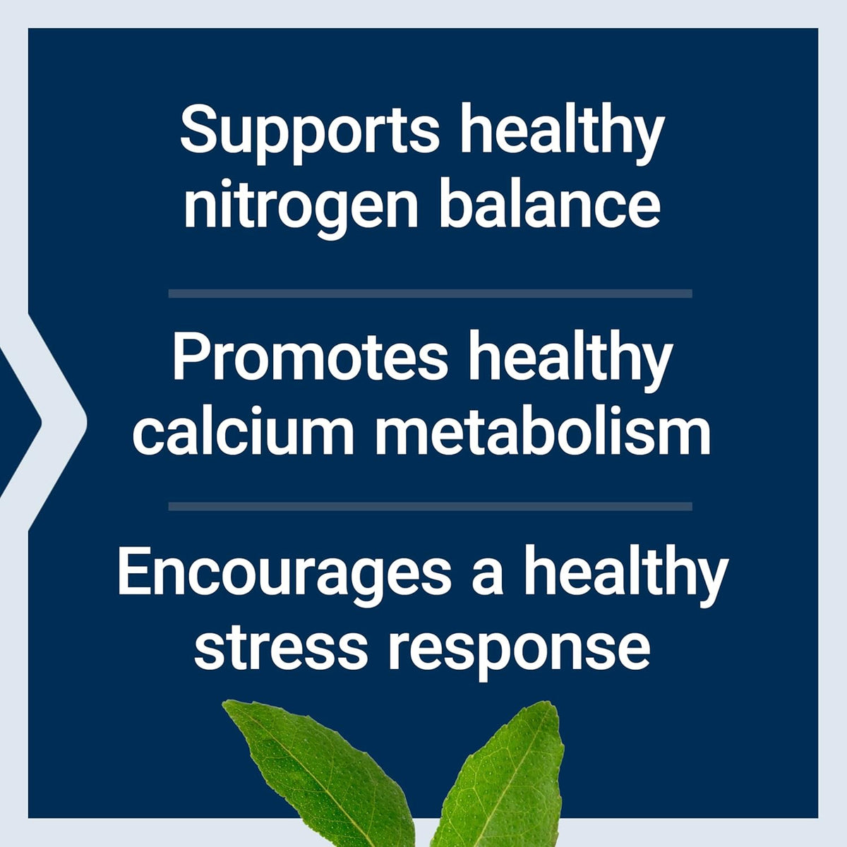 L - Lysine - Life Extension - 620 mg - 100 capsule - Protein4Life