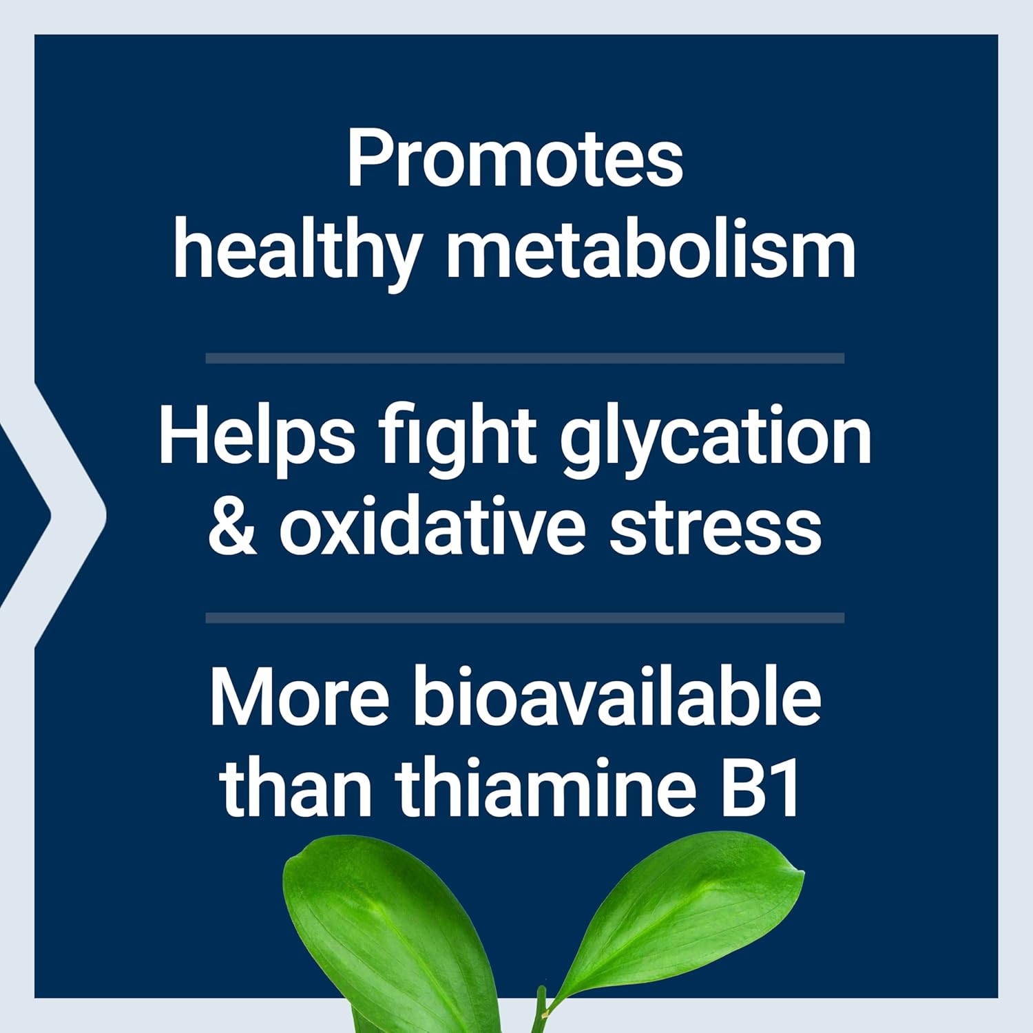 Mega Benfotiamina pentru Sistem Nervos si Metabolismul Glucozei – Life Extension - 250 mg, 120 capsule - Protein4Life