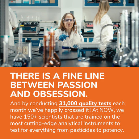 MultiColagen Hidrolizat Pudra Tip 1, 2, 3 cu Vitamina C si Extract de Samburi de Struguri - Now Foods - 454 grame - Protein4Life