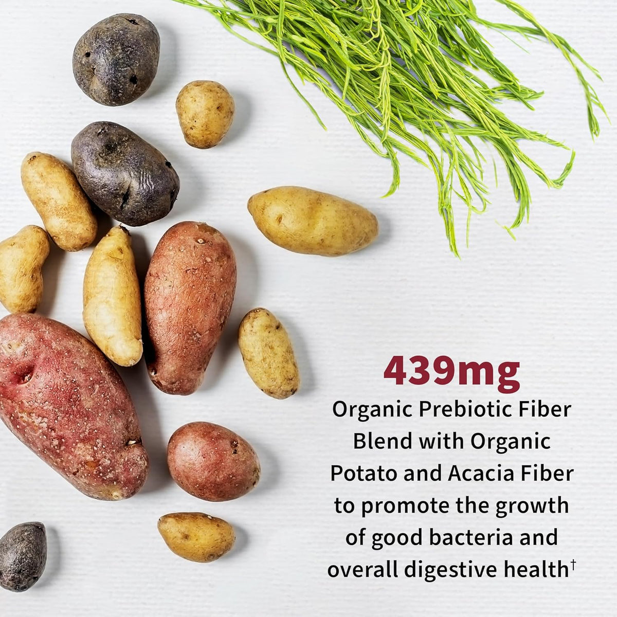 Probiotic pentru Sanatatea Tractului Urinar - Dr. Formulated Probiotics Urinary Tract+ - Garden of Life - 60 capsule - Protein4Life