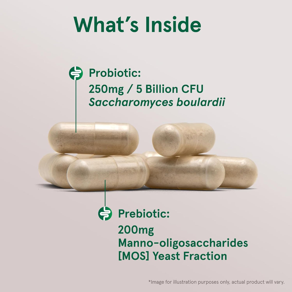 Probiotic Saccharomyces Boulardii + MOS - Jarrow Formulas - Protein4Life