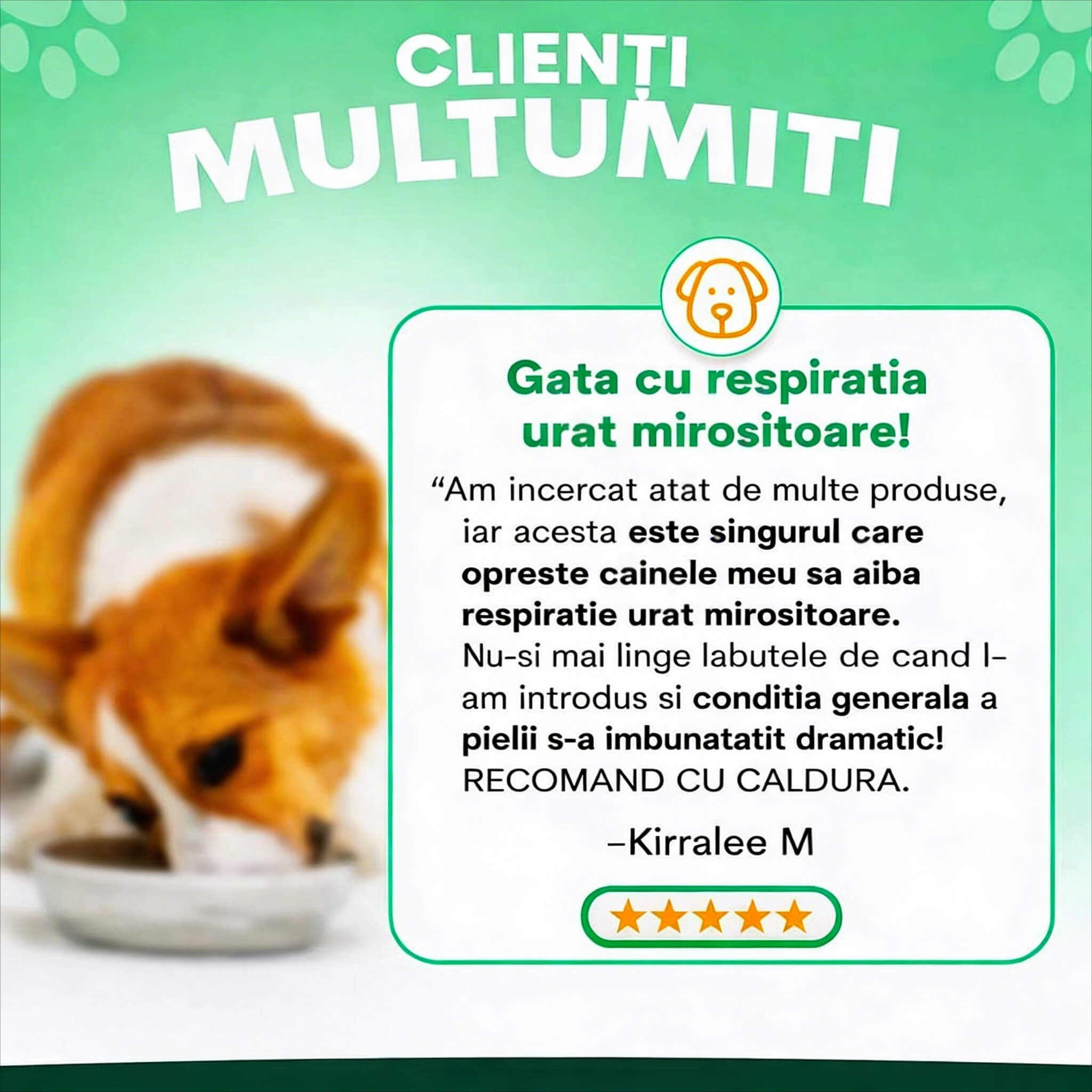 Probiotice pentru Caini - PetzPark Australia - 76 grame - Protein4Life