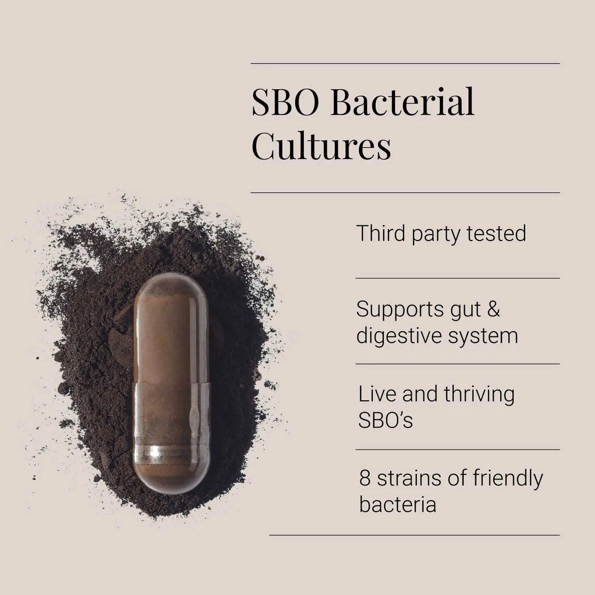 Soil Probiotics - BodyBiotics - Kiki Health - 400 mg - Protein4Life