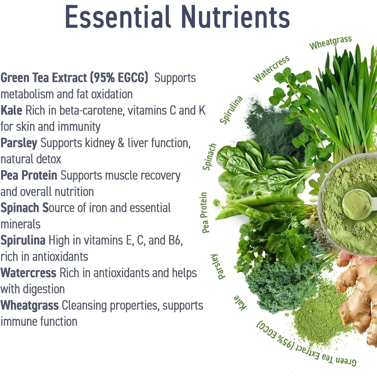 Super Greens - Critical Greens - Applied Nutrition - 250 grame - Protein4Life