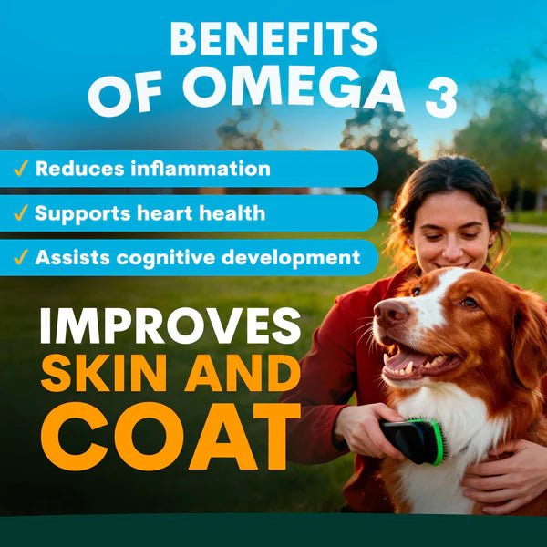Supliment pentru Piele si Blana Sanatoasa la Caini - Skin + Coat pentru Piele Sensibila si Blana Stralucitoare - PetzPark Australia - 90 grame - Protein4Life
