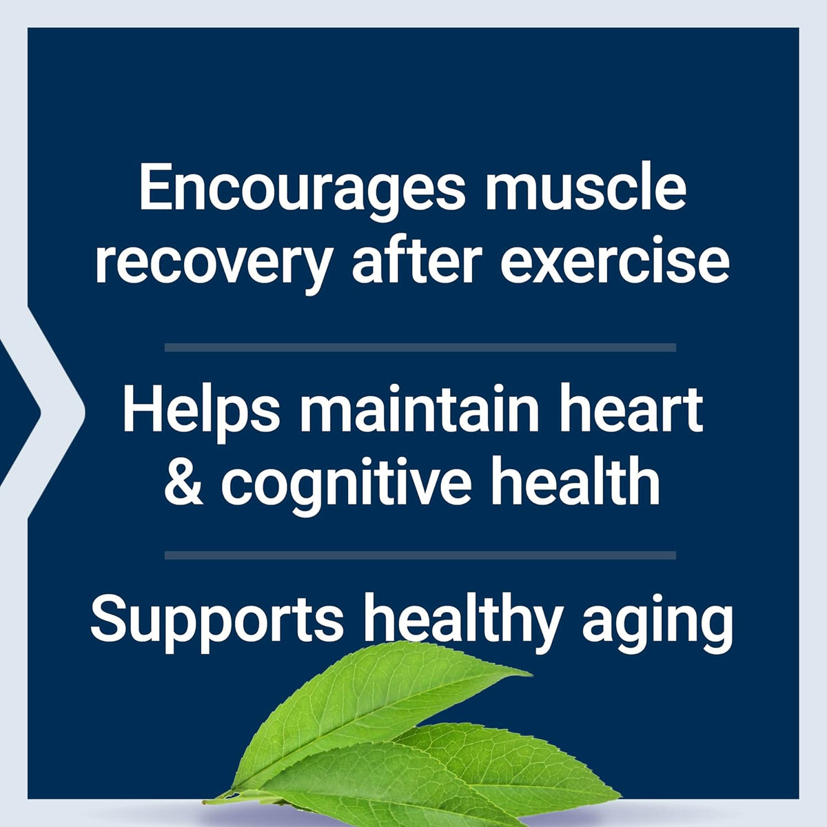 Taurina Pudra pentru Sistem Nervos si Sanatatea Inimii – Life Extension - 300 grame - Protein4Life