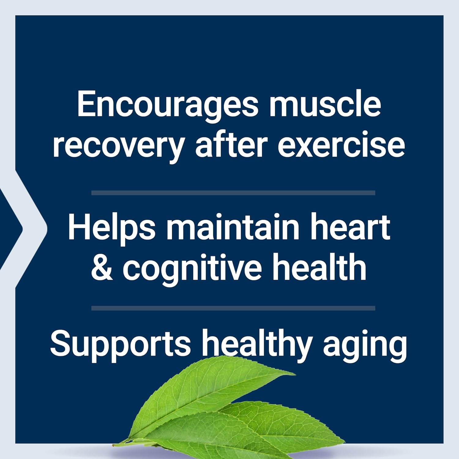 Taurina Pudra pentru Sistem Nervos si Sanatatea Inimii – Life Extension - 300 grame - Protein4Life