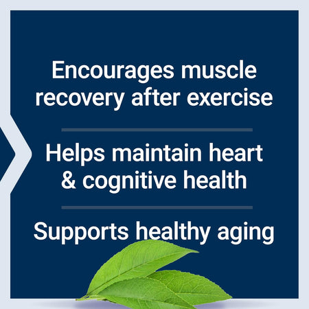 Taurina Pudra pentru Sistem Nervos si Sanatatea Inimii – Life Extension - 300 grame - Protein4Life