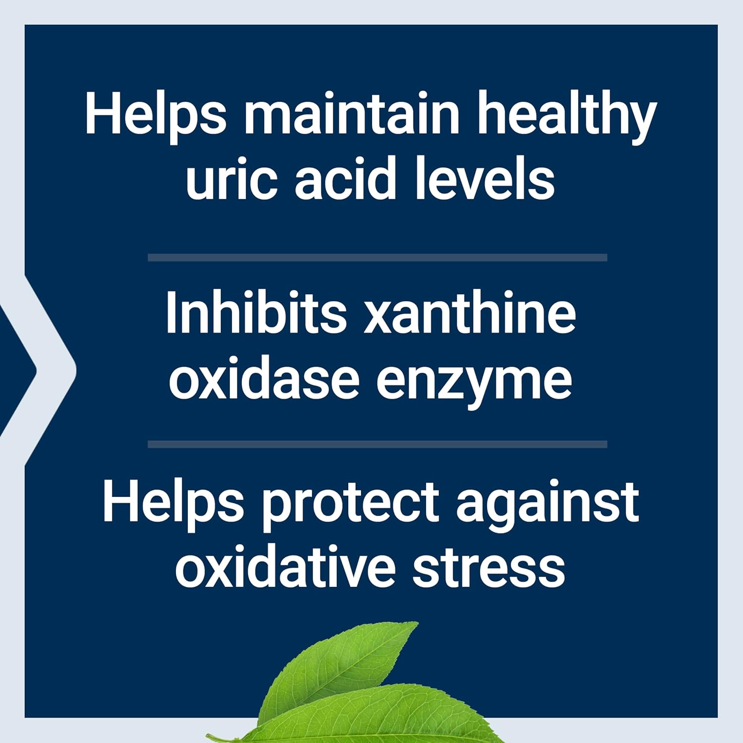 Uric Acid Control pentru Echilibrul Acidului Uric si Sanatatea Articulatiilor - Life Extension - 60 capsule vegetale - Protein4Life