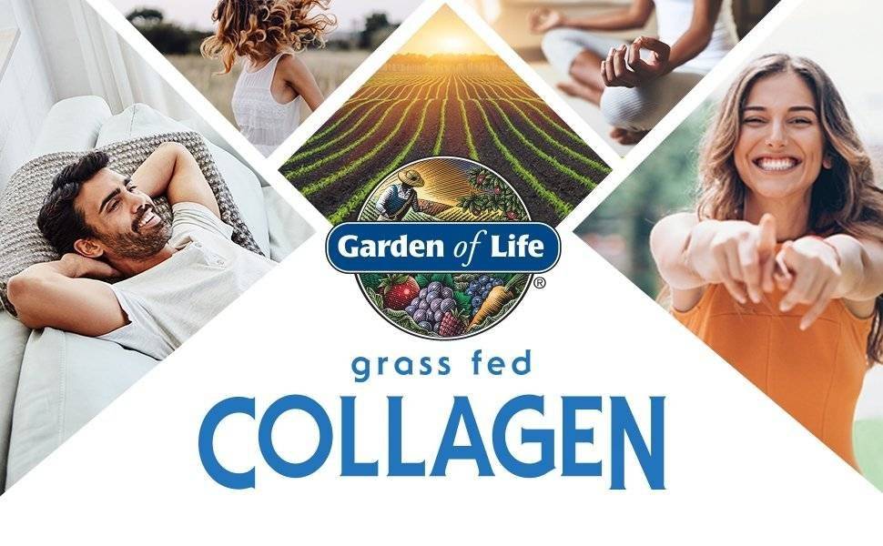 Colagen Creamer fara Lactoza, Grass Fed Organic, Vanilie, 342 gr Garden of Life