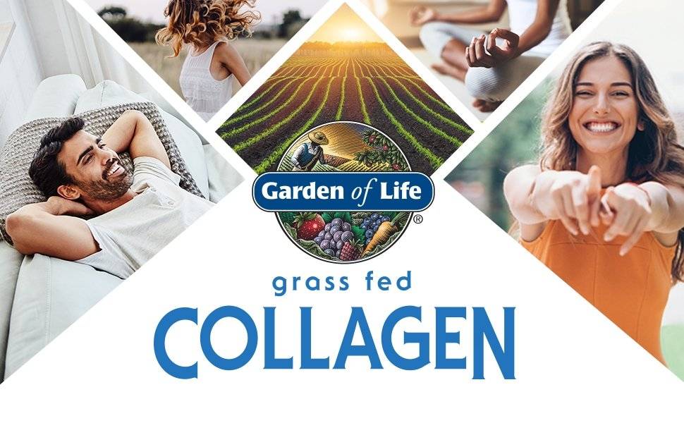 Colagen Creamer fara Lactoza, Grass Fed Organic, Ciocolata, 342 gr Garden of Life