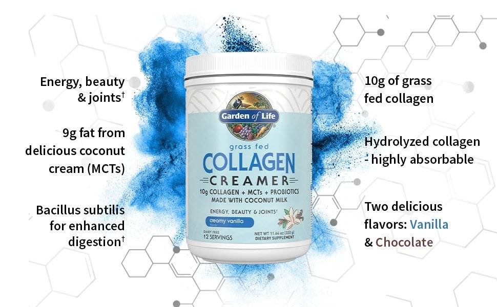 Colagen Creamer fara Lactoza, Grass Fed Organic, Ciocolata, 342 gr Garden of Life