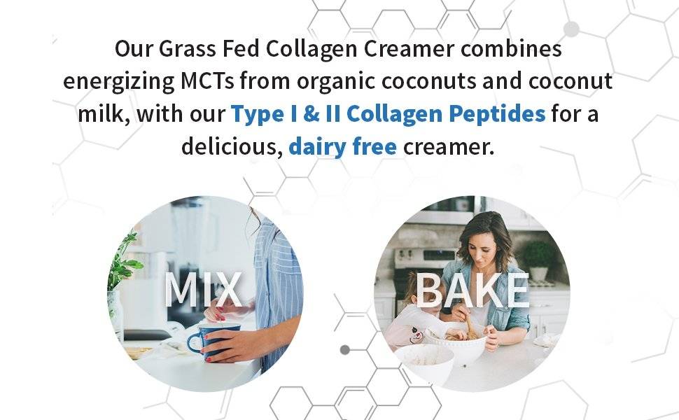 Colagen Creamer fara Lactoza, Grass Fed Organic, Ciocolata, 342 gr Garden of Life