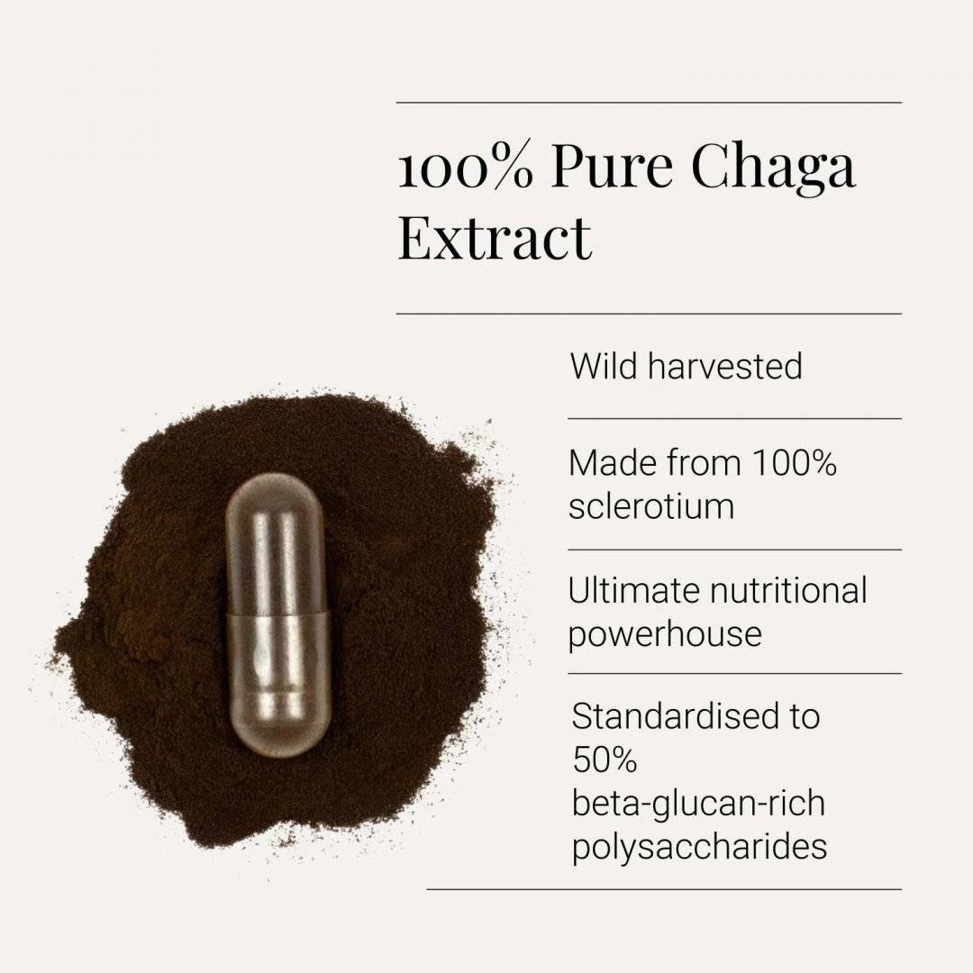 Extract Ciuperca Organica Chaga, 380 mg, 60 capsule, Kiki Health