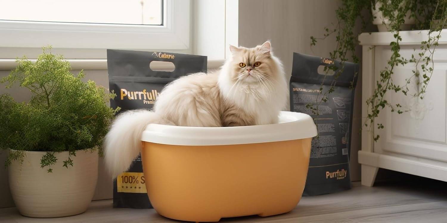 Silicat pentru Pisici, Catario Purrfully 3.8 L