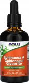 Echinacea & Goldenseal Glycerite, 60 ml, NOW Foods