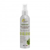 Spray Purifiant Atmosfera PURYFITOUT 200ml